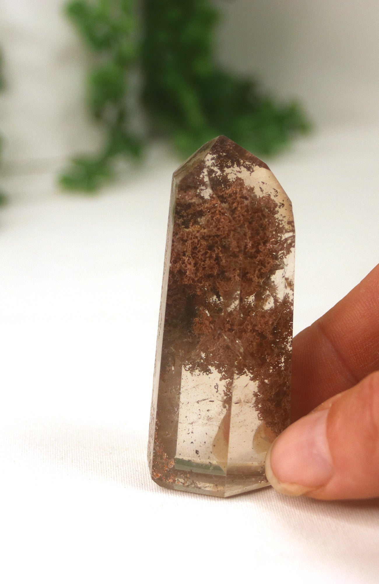 Lodalite Quartz Freeform Generator